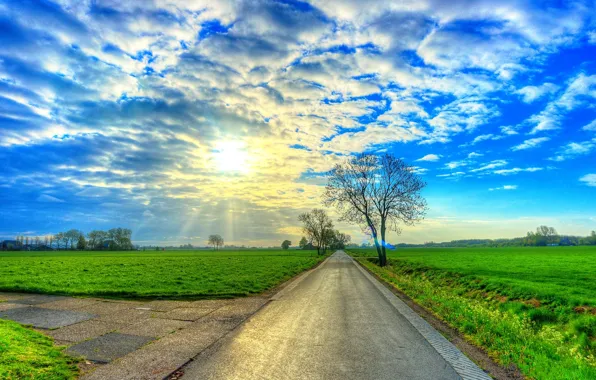 Picture road, field, the sky, clouds, trees