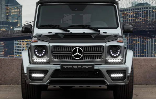 Picture AMG, tuning, Mansory, G65