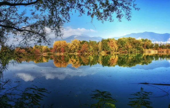 Autumn, forest, the sky, mountains, branches, lake, reflection, blue