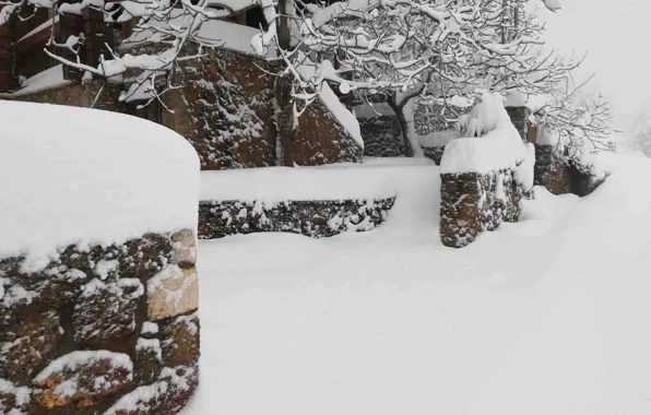 Winter, Snow, Winter, Snow, Snow Trees, Snow Trees