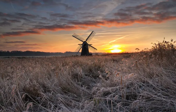Frost, field, sunset, mill