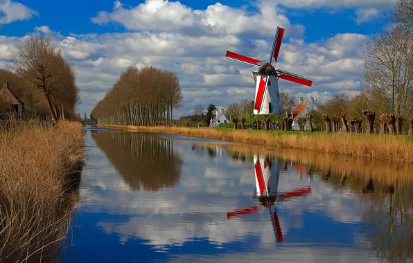 Trees, home, channel, Belgium, Flanders, windmill