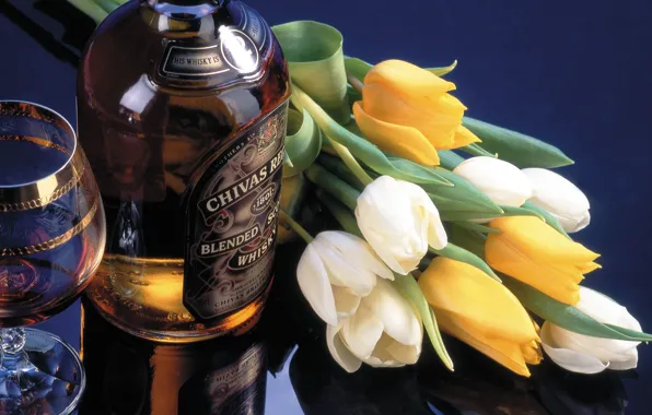 Flowers, yellow, reflection, glass, bottle, bouquet, alcohol, tulips