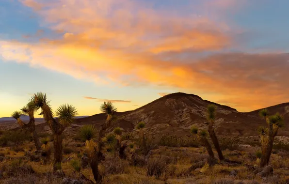 Field, the sky, clouds, light, sunset, mountains, desert, the slopes