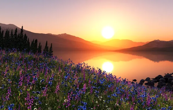 The sky, the sun, trees, sunset, flowers, mountains, slope, meadow