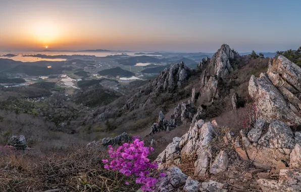 The sky, flowers, mountains, stones, rocks, dawn, the slopes, dal