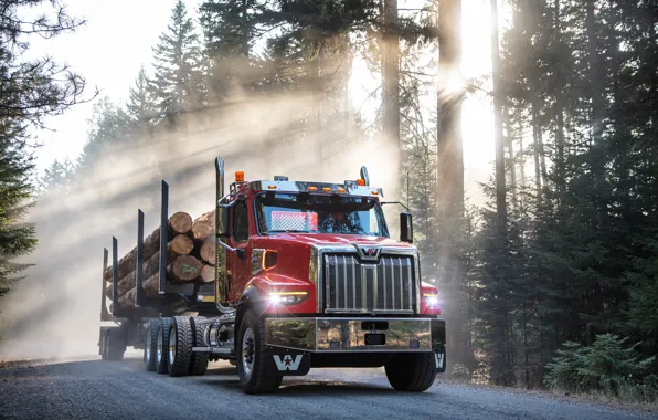 Road, Trees, The truck, Western Star, Western Star 49X, Professional truck, Western Star, Vocational truck