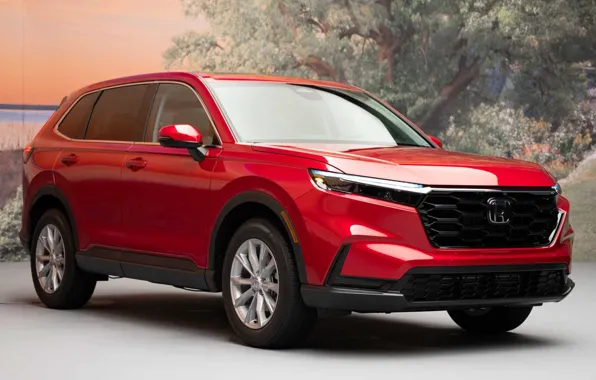 Picture Honda, Honda, crossover, CR-V, 2022