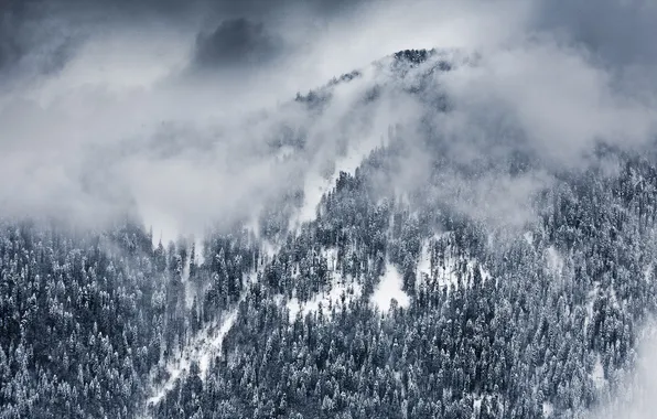 Winter, clouds, snow, trees, landscape, nature, Wallpaper, mountain