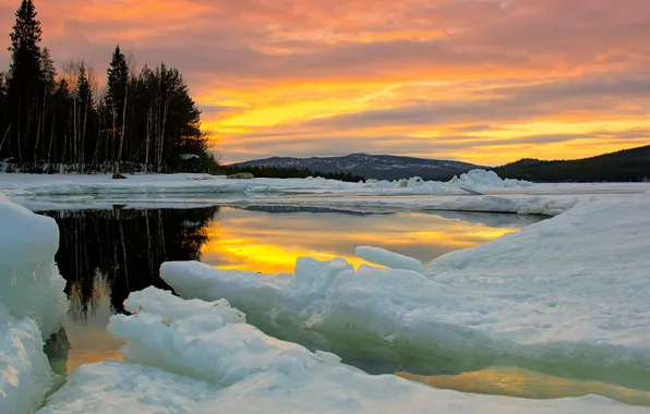 Forest, the sky, lake, ice