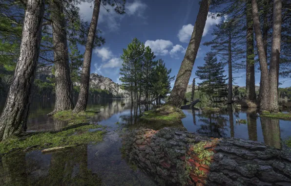 Picture lake, Corsica, Corsica