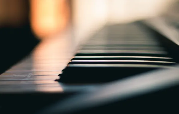 Macro, music, piano