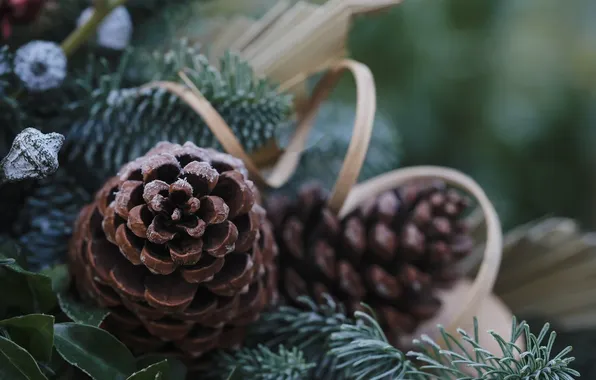 Toys, tree, bumps