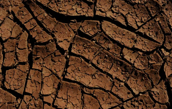 Cracked, background, earth, texture, relief, soil