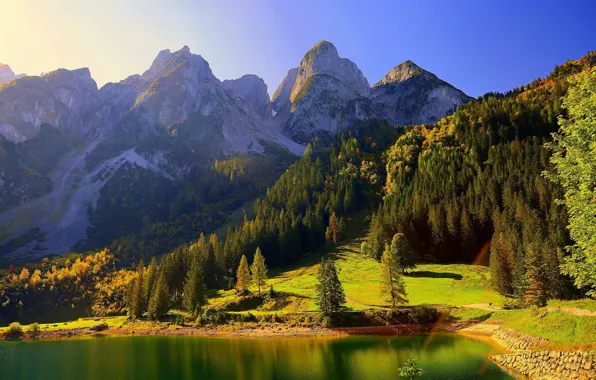 Autumn, forest, trees, mountains, lake, Austria, Alps, Austria
