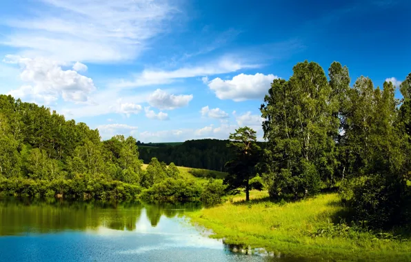 Picture forest, the sky, water, clouds, trees, lake, reflection, blue
