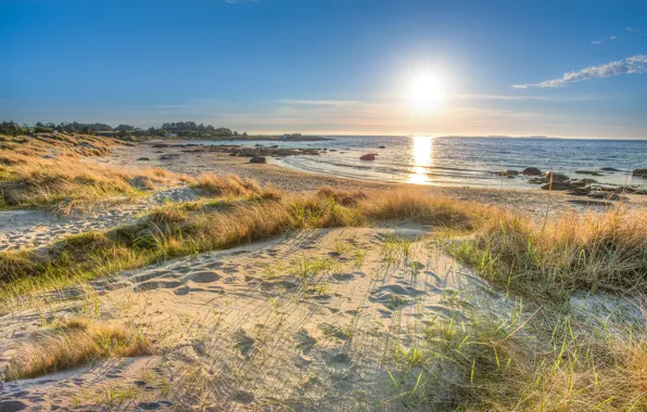 Sand, sea, the sky, grass, the sun, rays, sunset, stones