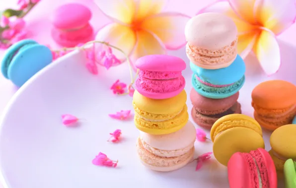 Flowers, the sweetness, tape, cake, cakes, plumeria, macaroon