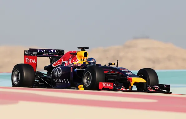 Picture Racer, Formula 1, Red Bull, Vettel, Champion, Sebastian, RB10