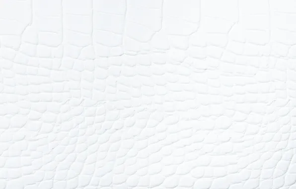 Surface, texture, leather, white, relief, texture, white color, leather