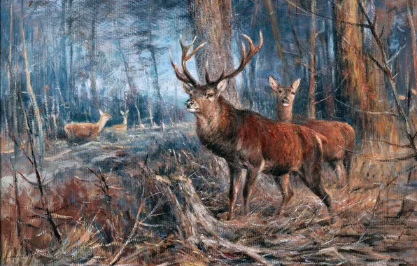 Trees, Forest, Picture, Horns, Deer, German artist, Wilhelm Lorenz, Wilhelm Lorenz