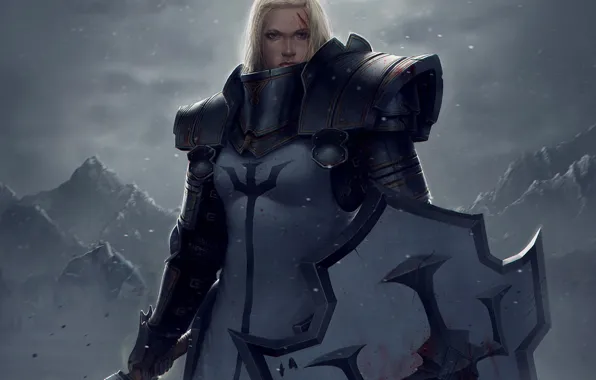 Picture girl, snow, mountains, weapons, blood, art, shield, Diablo III