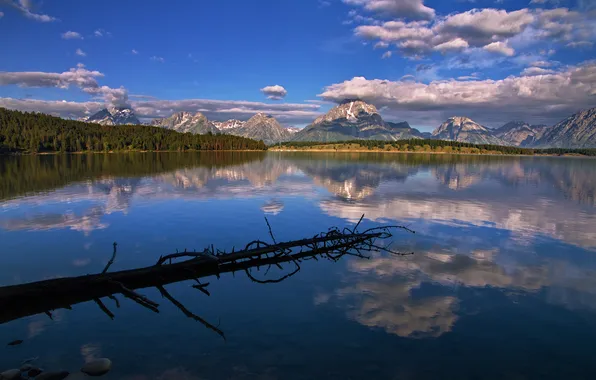 Forest, sky, mountain, lake, Wyoming, grand teton