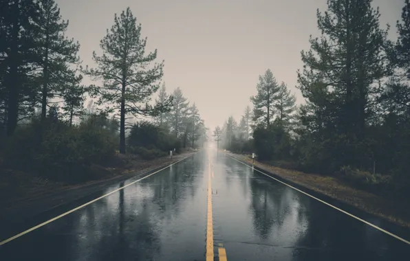Picture road, trees, machine, clouds, rain, the dividing line