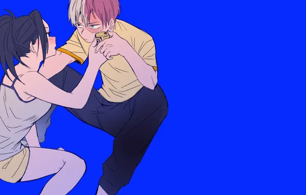 My hero Academy, My Hero Academia, Boku No Hero Academy, Todoroki Shoto, Airoso Momo