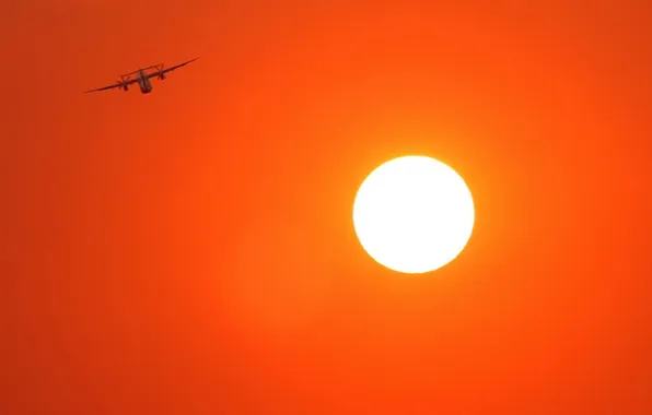The sky, background, the plane