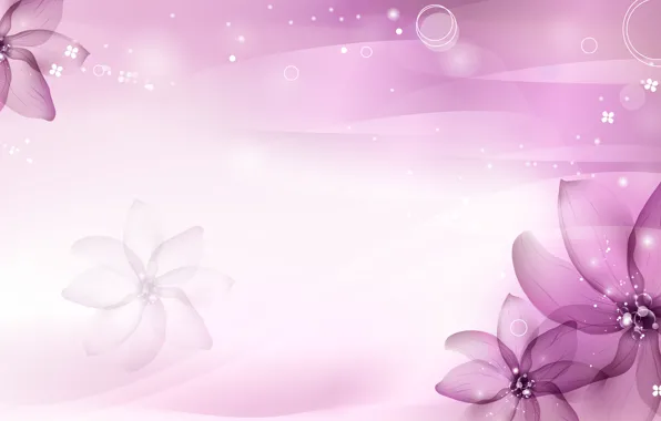 Picture purple, flowers, petals