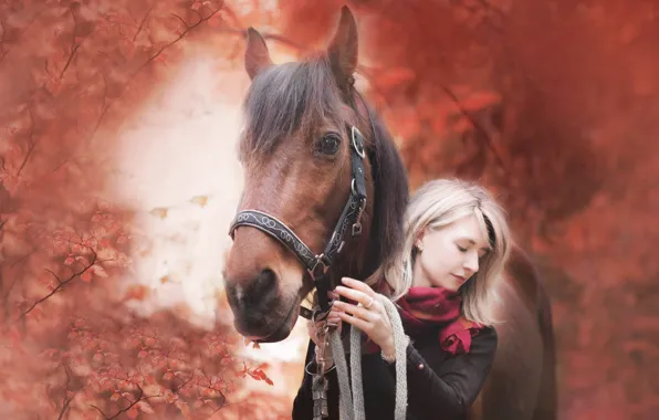Picture girl, nature, horse