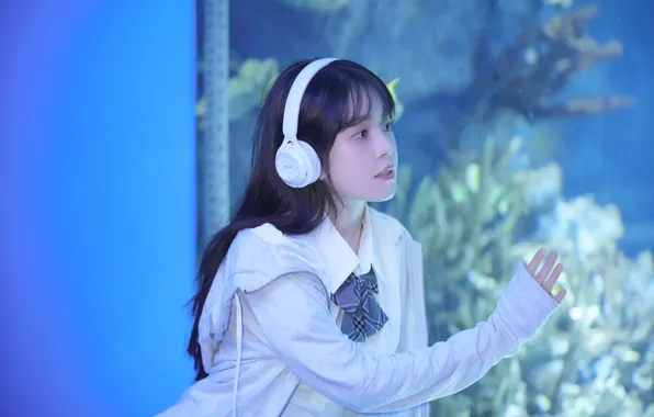 Fish, Aquarium, Beautiful, Asian, Model, Headphone, Woman, Cute
