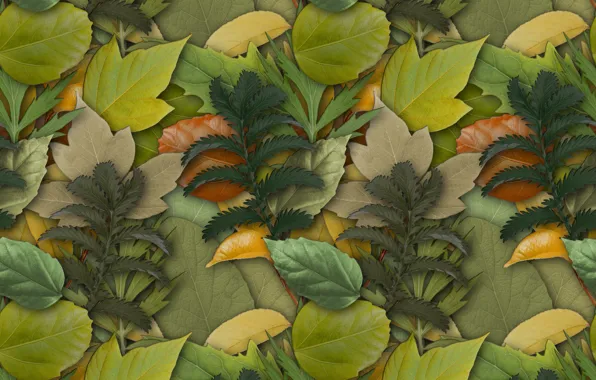 Picture leaves, background, texture, herbarium