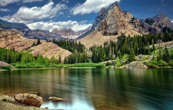 Forest, water, trees, mountains, lake, rocks