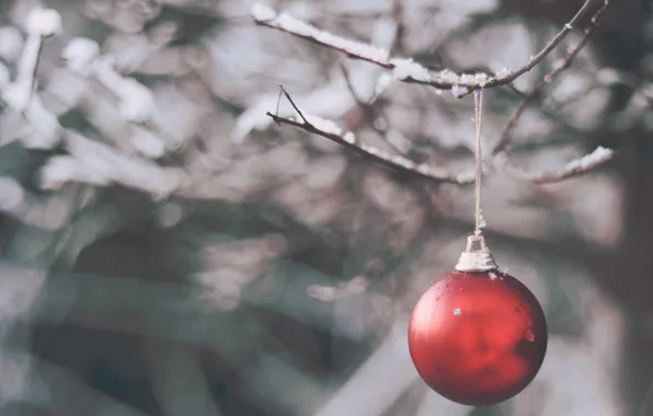 Winter, balls, snow, branches, toy
