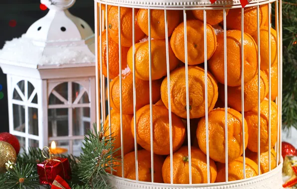 Picture decoration, New Year, Christmas, fruit, Christmas, tangerines, decoration, Merry