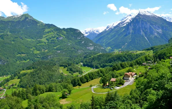 Greens, trees, mountains, field, Switzerland, valley, houses, forest