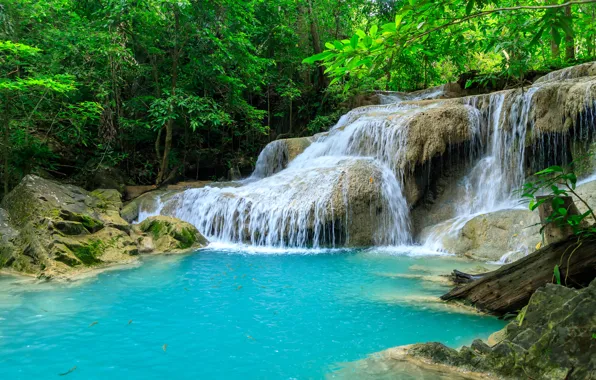 Wallpaper waterfall, shore, lake, foliage, greens, blue water, rocks, branches