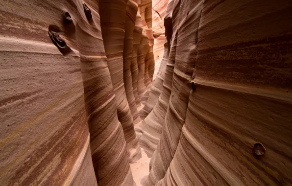 Rocks, texture, USA, Utah, Canyon Zebra