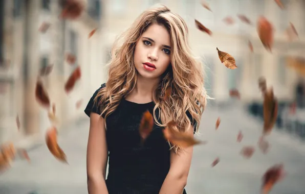 Autumn, leaves, the wind, portrait, sponge, Gaetan Habrand