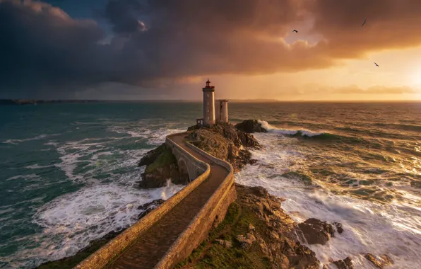 Picture sea, the sky, clouds, clouds, stones, rocks, bird, shore