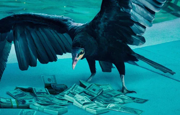 Movie, money, Raven, tv series, Ozark
