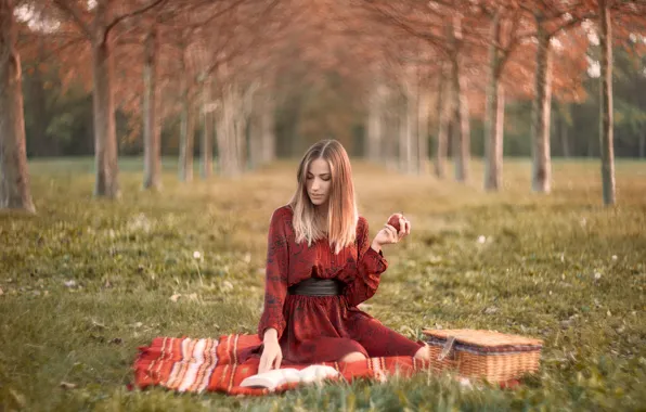 Picture nature, apples, book, Natalia
