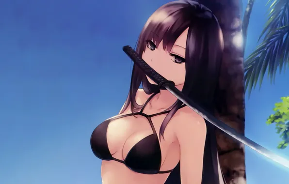 Girl, sword, sexy, cleavage, long hair, boobs, anime, beautiful