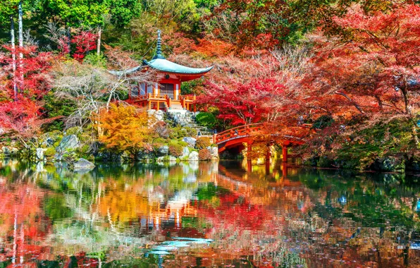 Picture autumn, leaves, trees, Park, Japan, Kyoto, nature, bridge