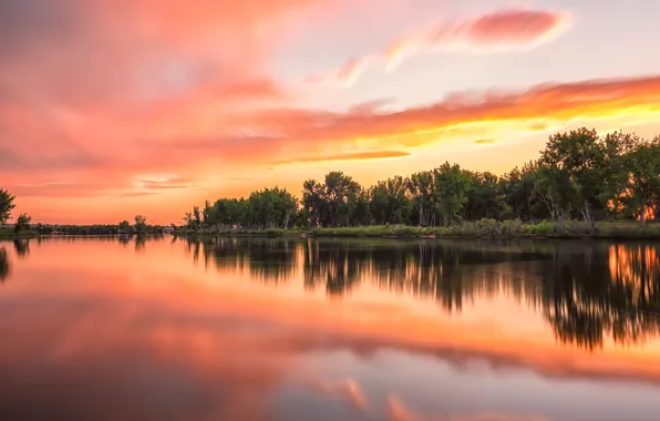 Forest, clouds, sunset, lake, reflection, shore, symmetry