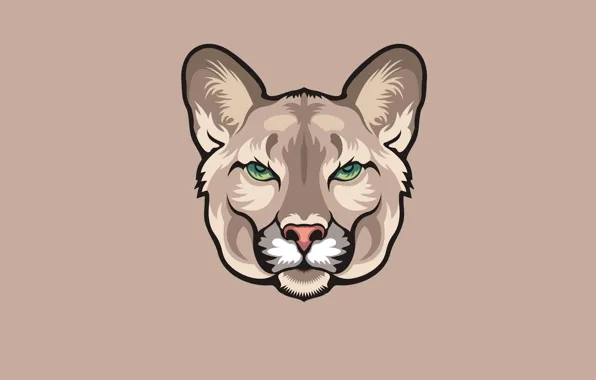 Minimalism, head, Puma, puma