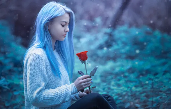 Picture flower, girl, hair, rose, Raffaela