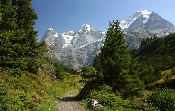 Greens, forest, the sky, the sun, trees, mountains, rocks, trail